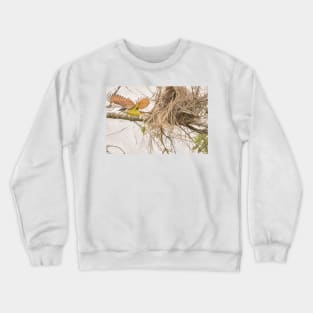 Great Kiskadee Departs The Nest - Painterly Crewneck Sweatshirt